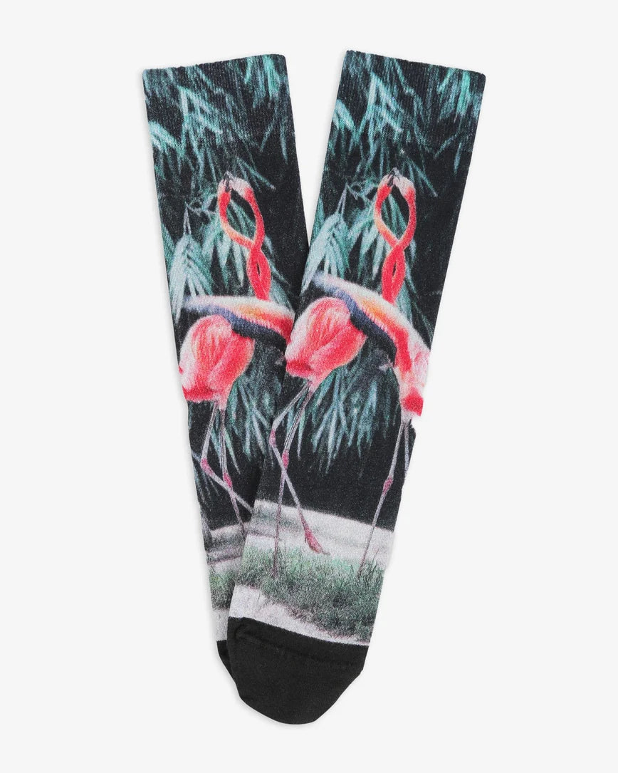 Flamingo Design Socks SCB-369